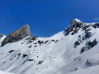 Trittkopf