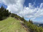 Hirschbühel