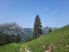 Großer Daumen NW-Grat