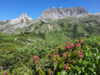Formaletsch