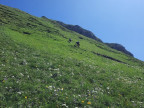 Formaletsch