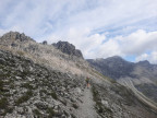 Löffelspitze, Orgelspitze, Braunarlspitze