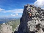 Löffelspitze, Orgelspitze, Braunarlspitze