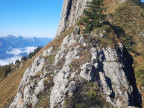 Branderschrofen