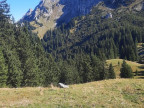 Branderschrofen