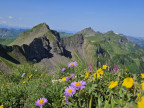 Piramide, Klippern, Gungern, Wannenkopf