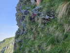 Piramide, Klippern, Gungern, Wannenkopf
