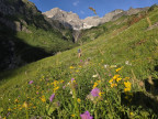 Butzenspitze, Kleinspitze, Braunarlspitze