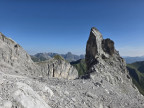 Drüsentürme