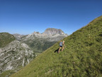 Pöngertlekopf, Pfaffeneck, Gehrengrat