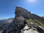 Pöngertlekopf, Pfaffeneck, Gehrengrat