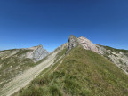 Pöngertlekopf, Pfaffeneck, Gehrengrat