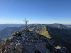 Großer Wilder