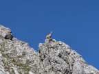 Gadnerköpfe und Klesenzakopf