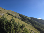 Geierköpfe
