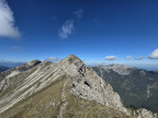 Geierköpfe