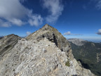 Geierköpfe