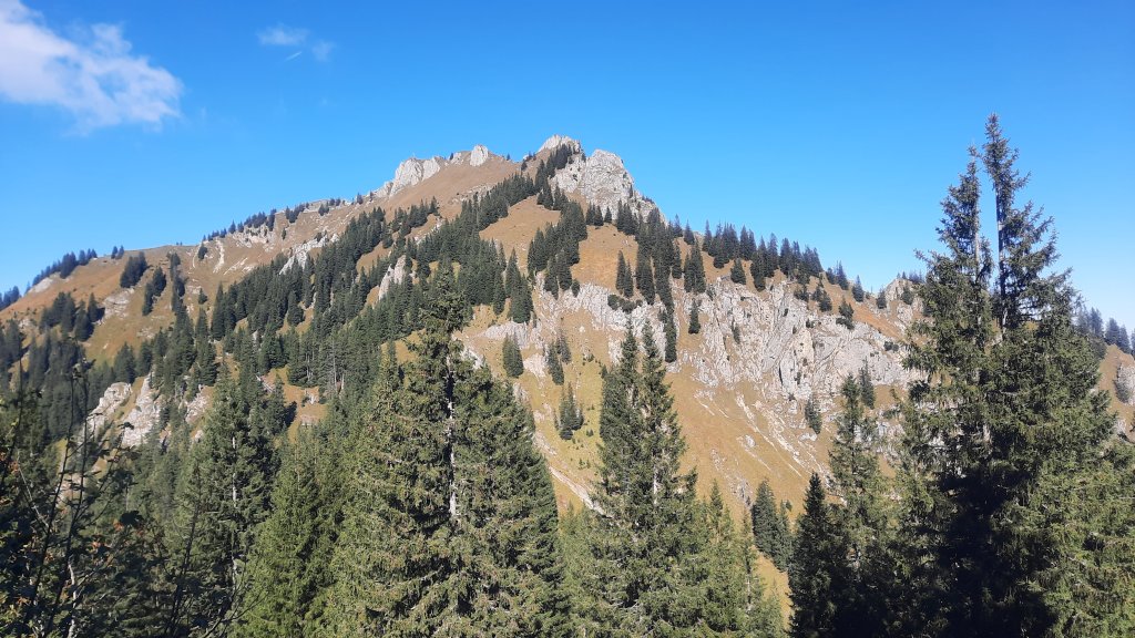 Branderschrofen