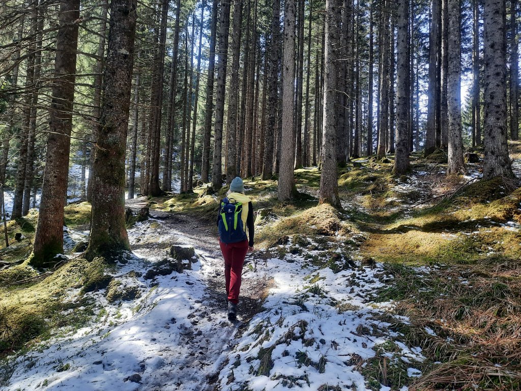 Buchberg und Jagdberg