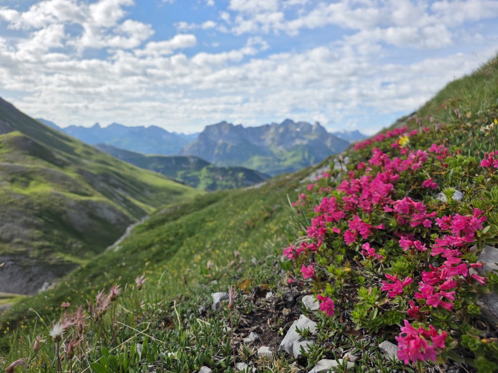Butzenspitze, Kleinspitze, Braunarlspitze