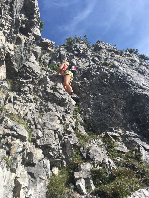 Elsspitze, Bärenköpfle und Breithorn