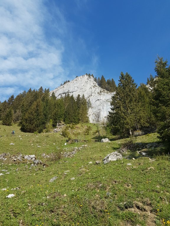 Freggelstein, Grünten, Stuhlwand