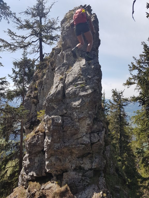 Freggelstein, Grünten, Stuhlwand