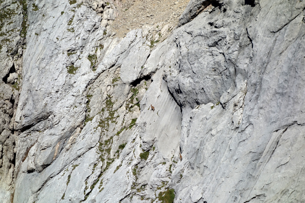Freispitze, Rotspitze, Rotplatte