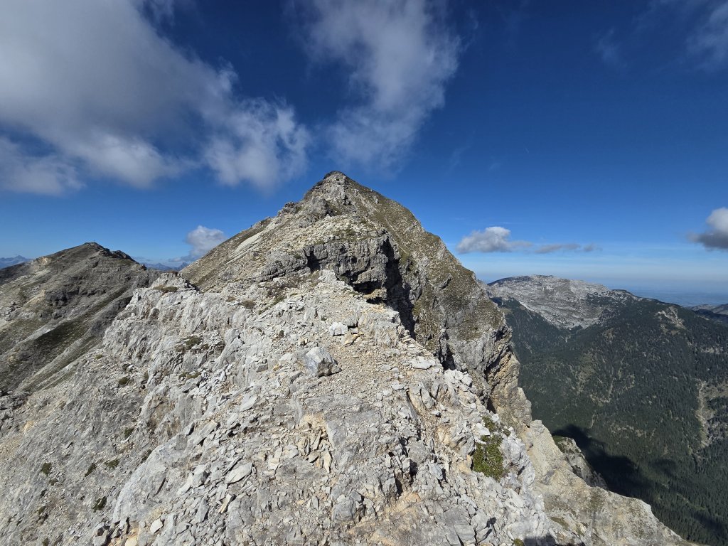 Geierköpfe