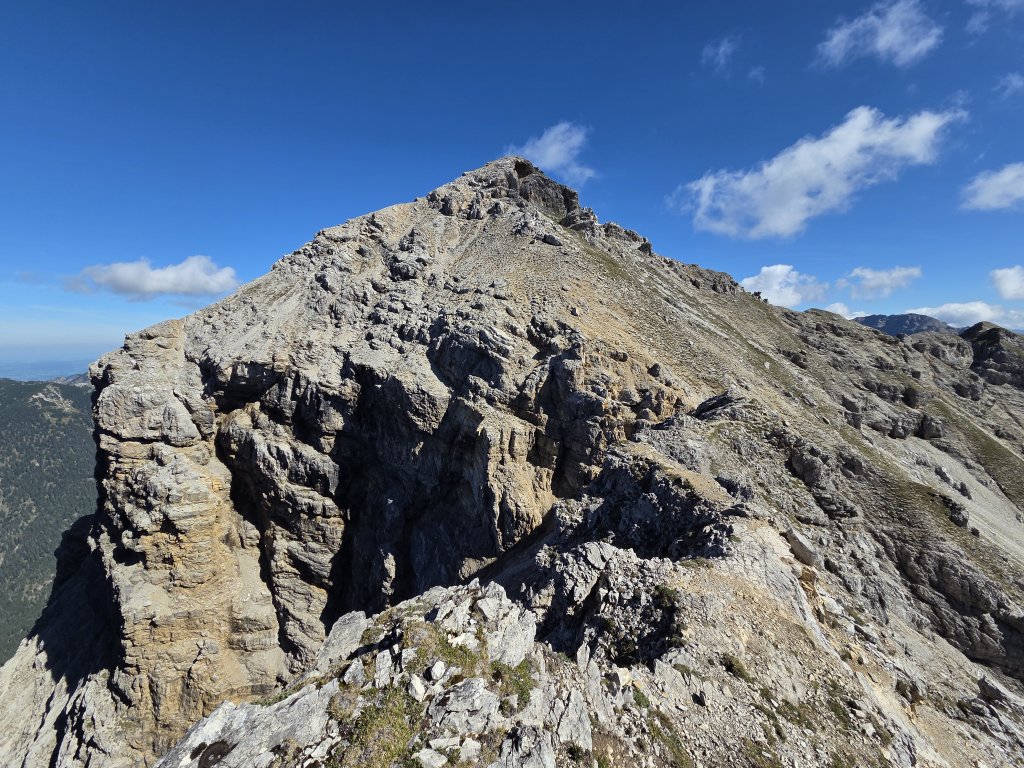 Geierköpfe
