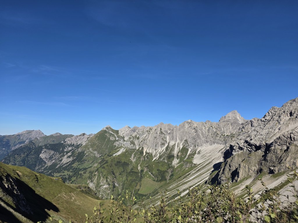 Großer Wilder