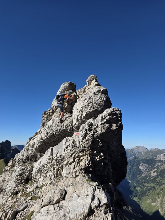 Großer Wilder