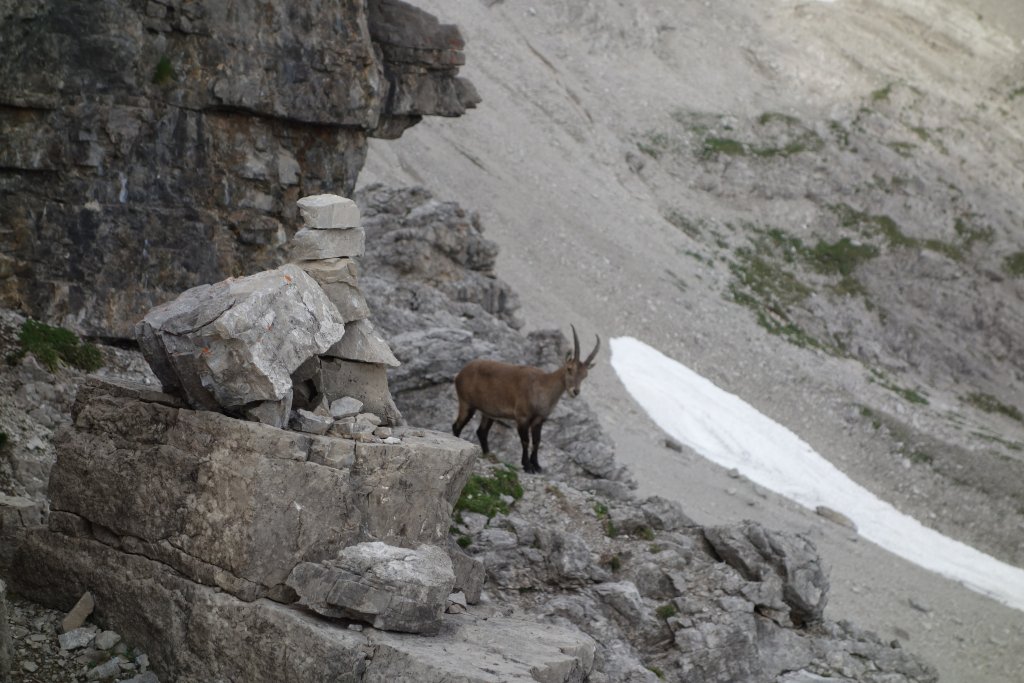 Krottenspitzengrat 3