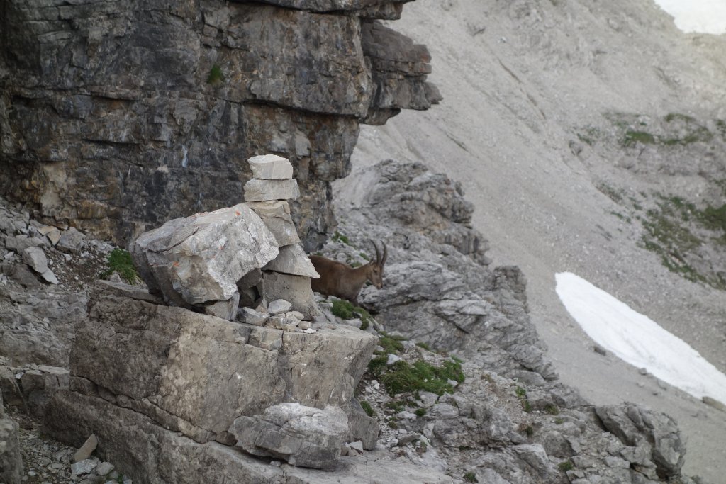 Krottenspitzengrat 4