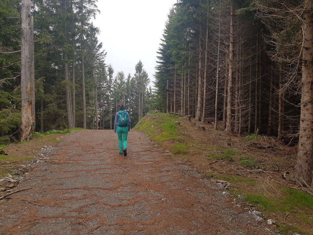 Muttkopf, Dünserhorn, Kopes und Rappenköpfle