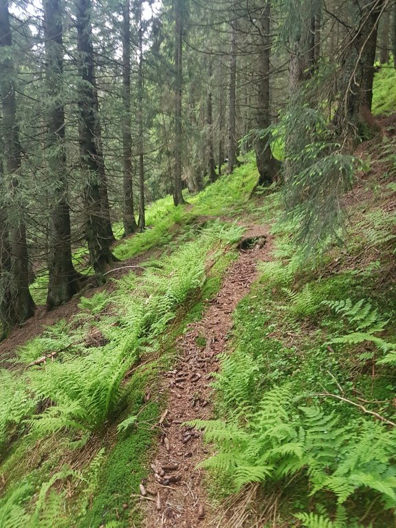 Muttkopf, Dünserhorn, Kopes und Rappenköpfle