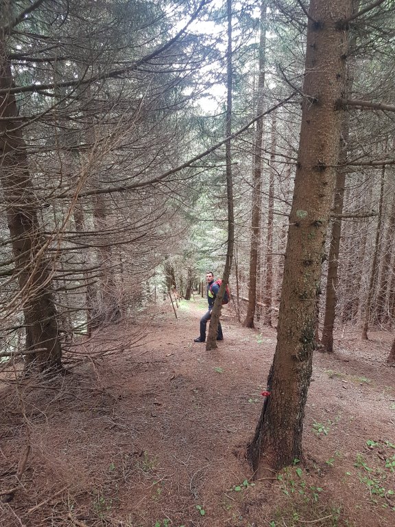 Muttkopf, Dünserhorn, Kopes und Rappenköpfle