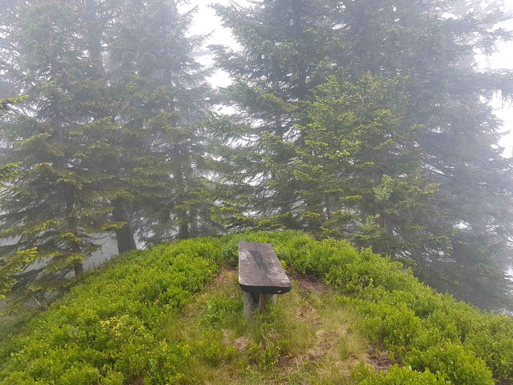 Muttkopf, Dünserhorn, Kopes und Rappenköpfle