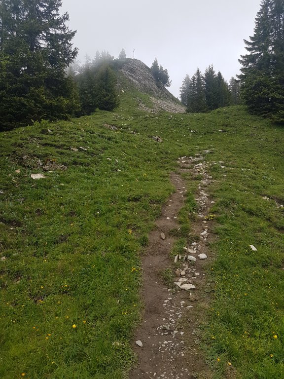 Muttkopf, Dünserhorn, Kopes und Rappenköpfle