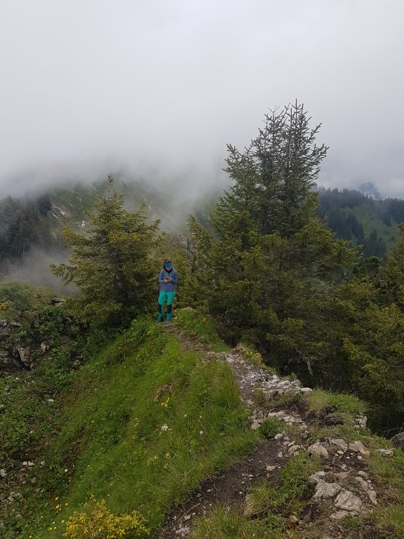 Muttkopf, Dünserhorn, Kopes und Rappenköpfle