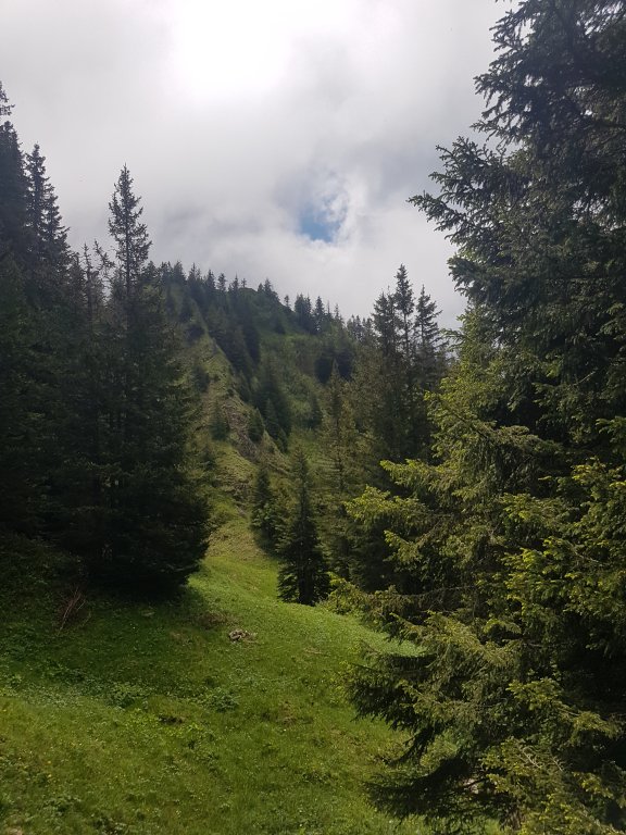 Muttkopf, Dünserhorn, Kopes und Rappenköpfle