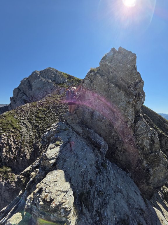 Pöngertlekopf, Pfaffeneck, Gehrengrat
