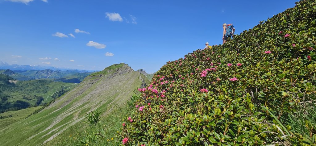 Piramide, Klippern, Gungern, Wannenkopf