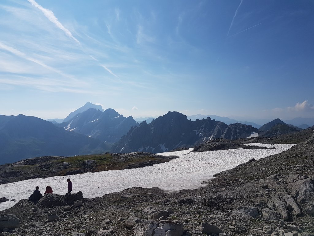 20190720_094503.jpg