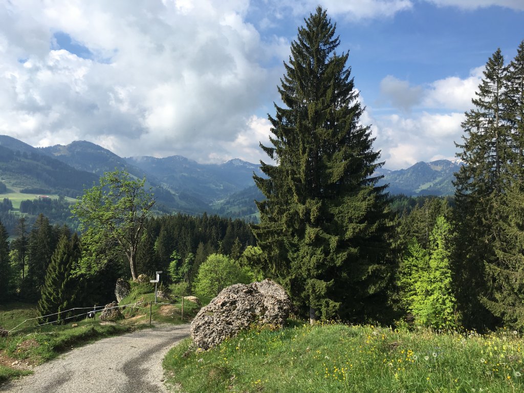 Steineberg festivaltour.de